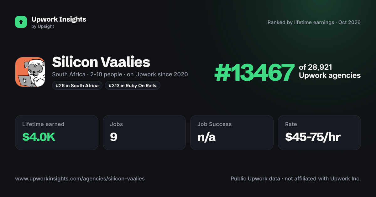 Silicon Vaalies share card