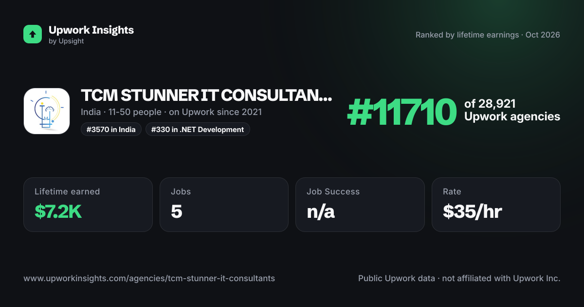 TCM STUNNER IT CONSULTANTS LLP share card